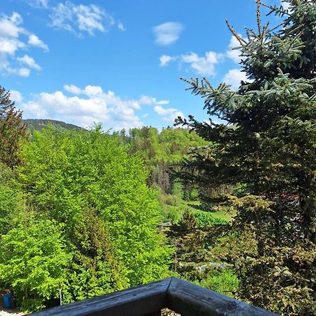 Апартаменты Haus Westharz Goslar Бад-Грунд Экстерьер фото