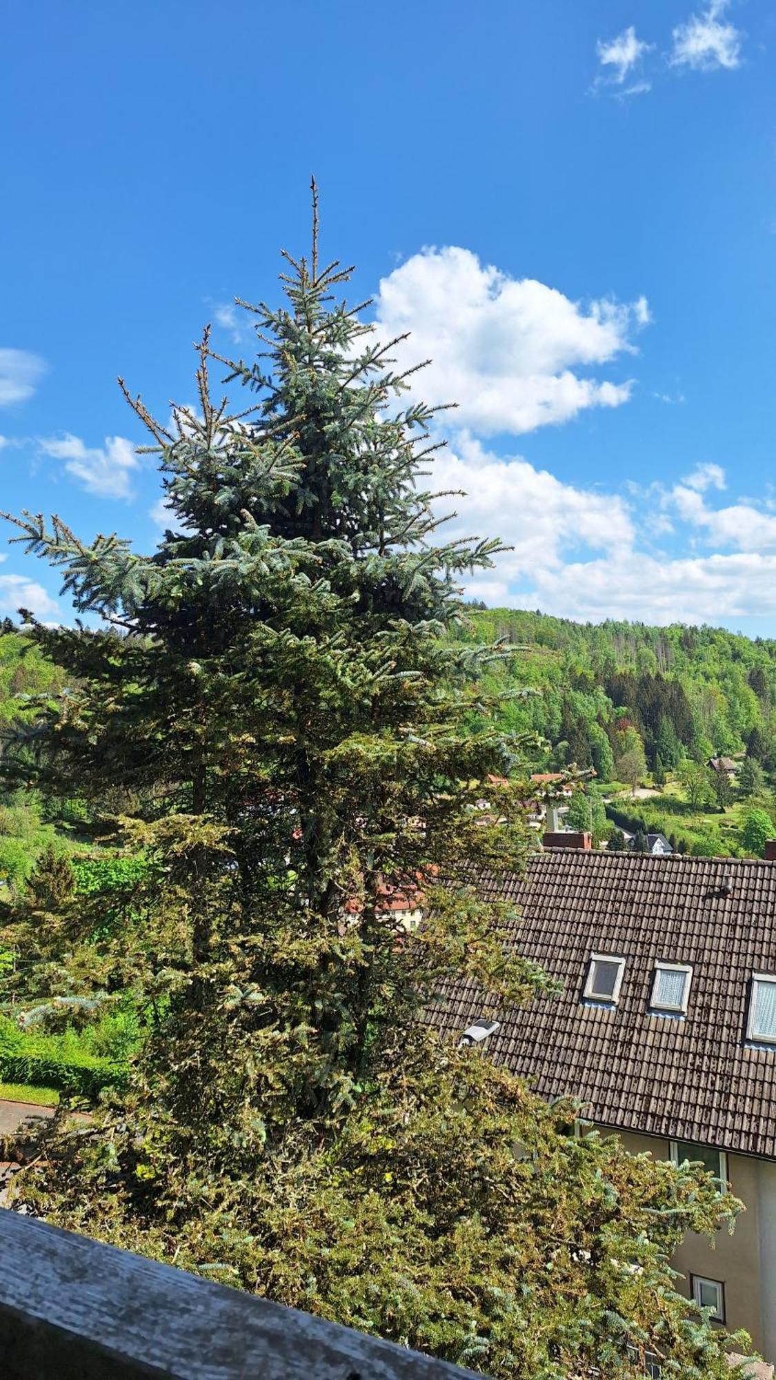 Апартаменты Haus Westharz Goslar Бад-Грунд Экстерьер фото